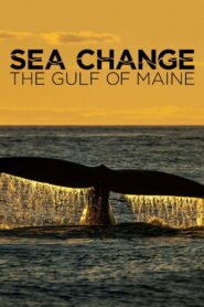 Sea Change: The Gulf of Maine